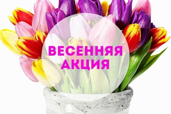 ВЕСЕННЕЕ ПРЕДЛОЖЕНИЕ!