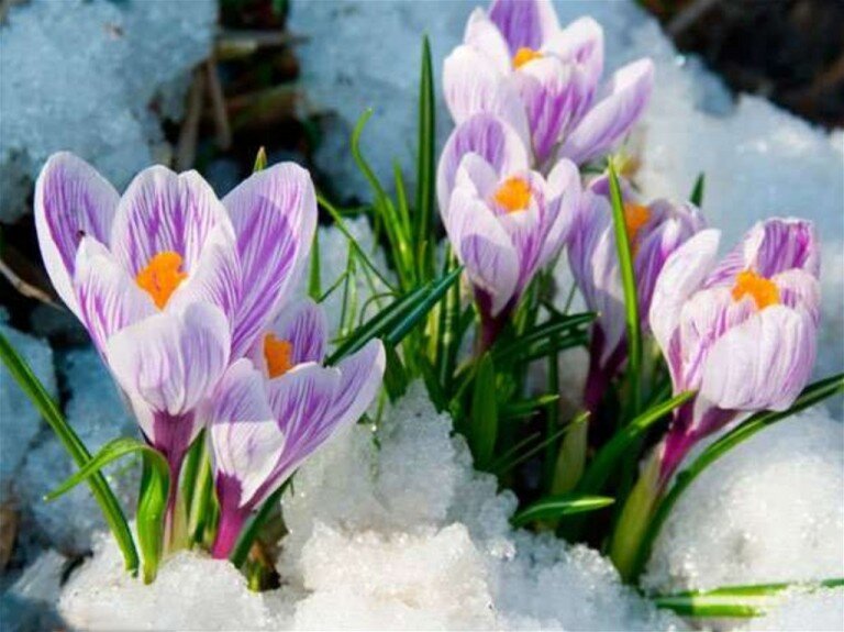 ЗИМНЯЯ РАСПРОДАЖА